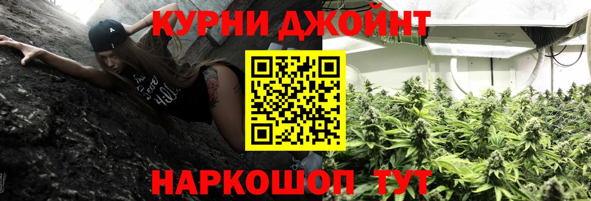 Бошки марихуана марихуана  Вход с VPN  Каннабис планчик  Гай 